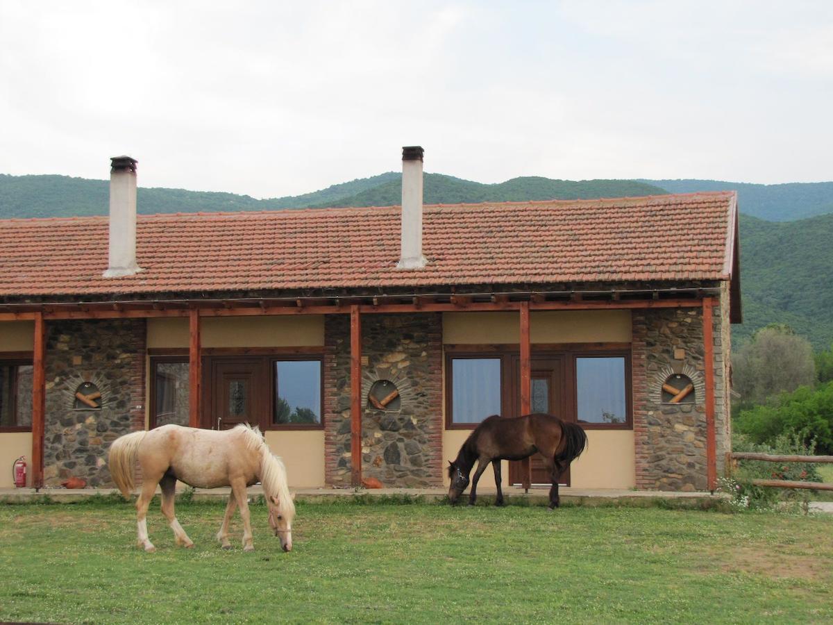 Ihnilatis Bed & Breakfast Kerkini Exterior photo